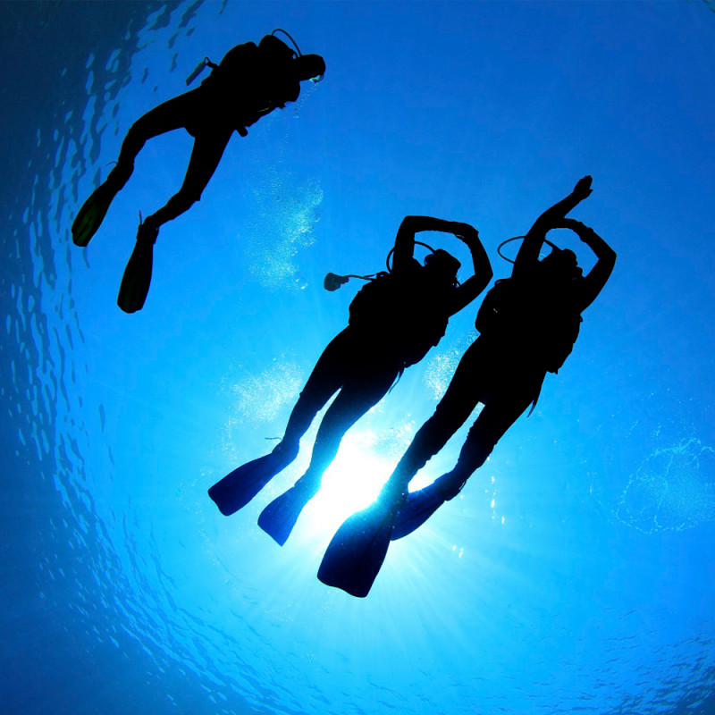 Milieu naturel Open Water Diver 1 à 4 - Semaine